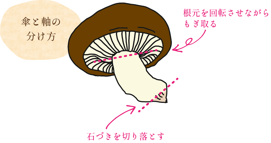 傘と軸の分け方